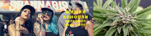 стафф Зеленокумск