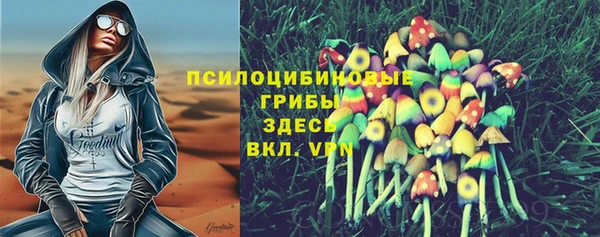 винт Каменск-Шахтинский