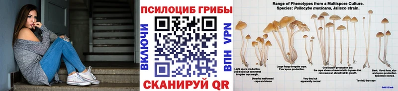 где купить наркоту  Кимовск  Псилоцибиновые грибы мухоморы 