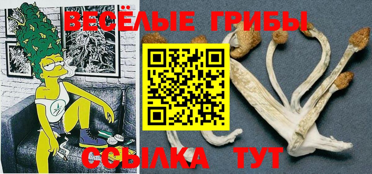 Галлюциногенные грибы GOLDEN TEACHER Кимовск