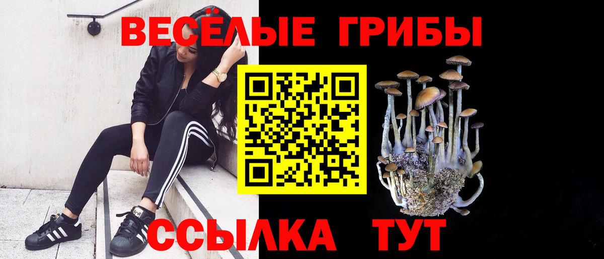 Кимовск  Галлюциногенные грибы MAGIC MUSHROOMS  Вход с VPN 